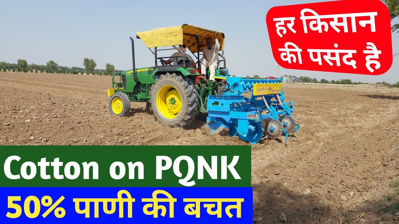 Cotton on PQNK