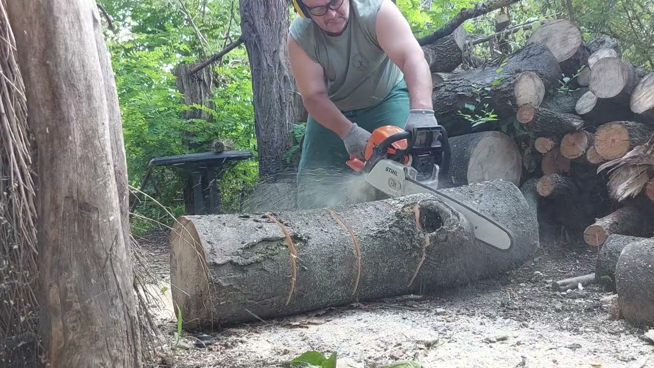 Stihl ms 310 part 2
