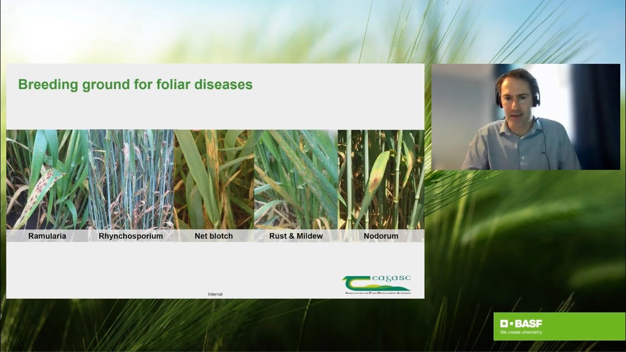 Funginar #1: Barley disease control, what's up?