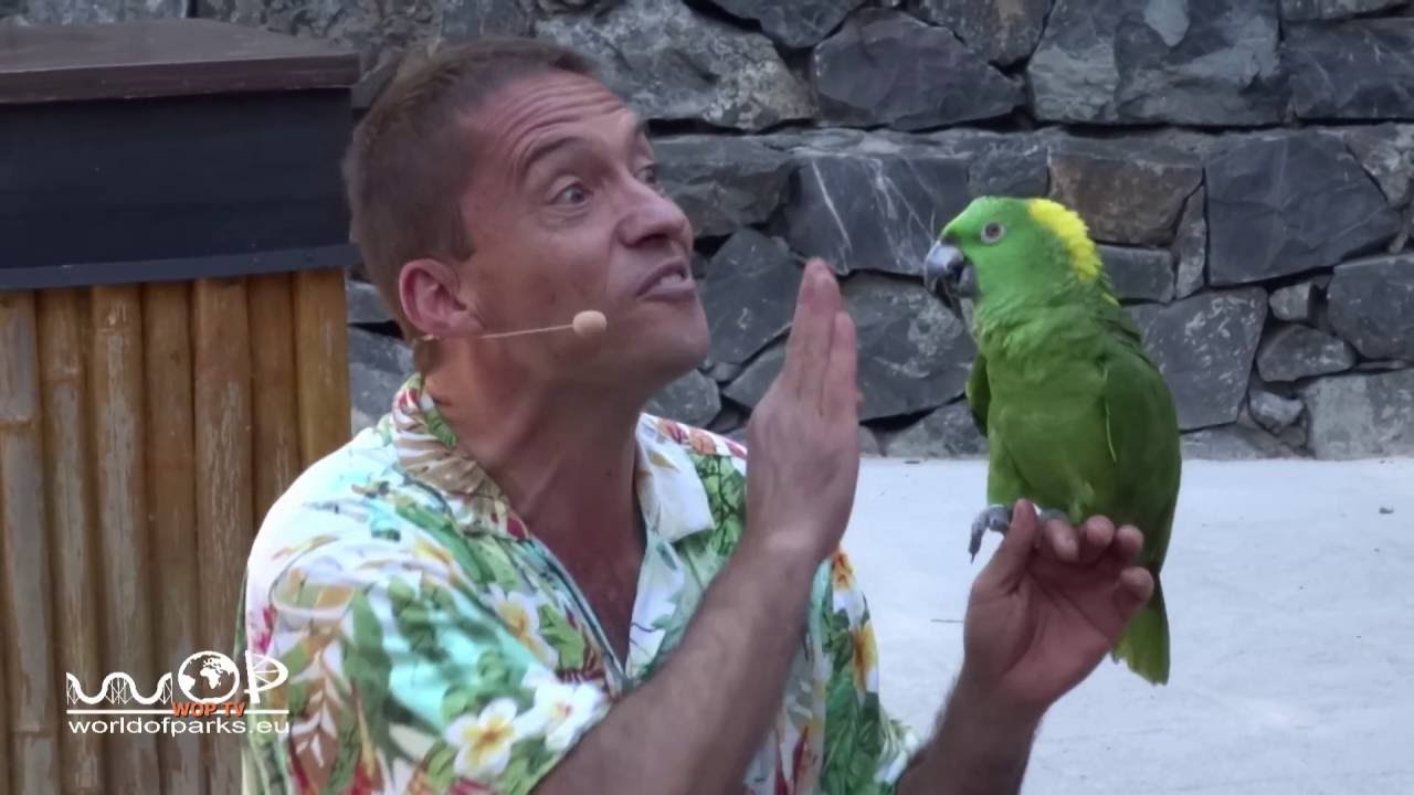 Port Aventura World - Aves del Paraíso - Bird Show - Makamanu stage - Show in Spanisch