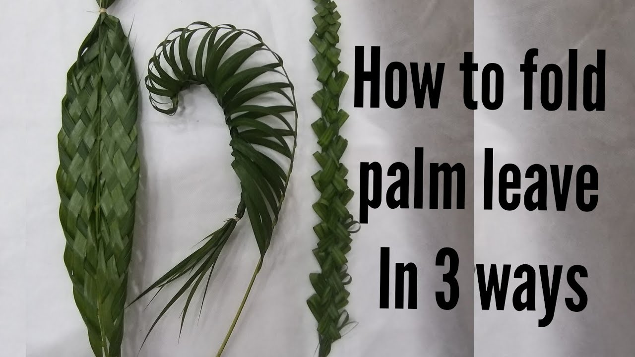 palm leaves || how to fold palm leaves || diy 3 way folding palm leaves || pano gumawa ng palm leave