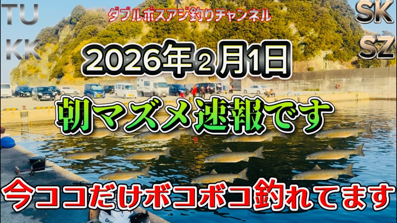 【朝まずめ速報】今ココだけ‼️ボッコボコに釣れてます‼️紀の川水軒田ノ浦雑賀崎2月1日
