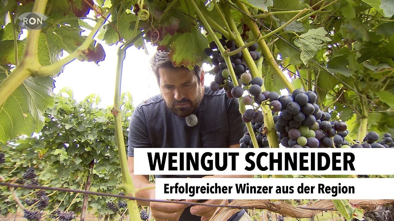 Weingut Schneider | RON TV