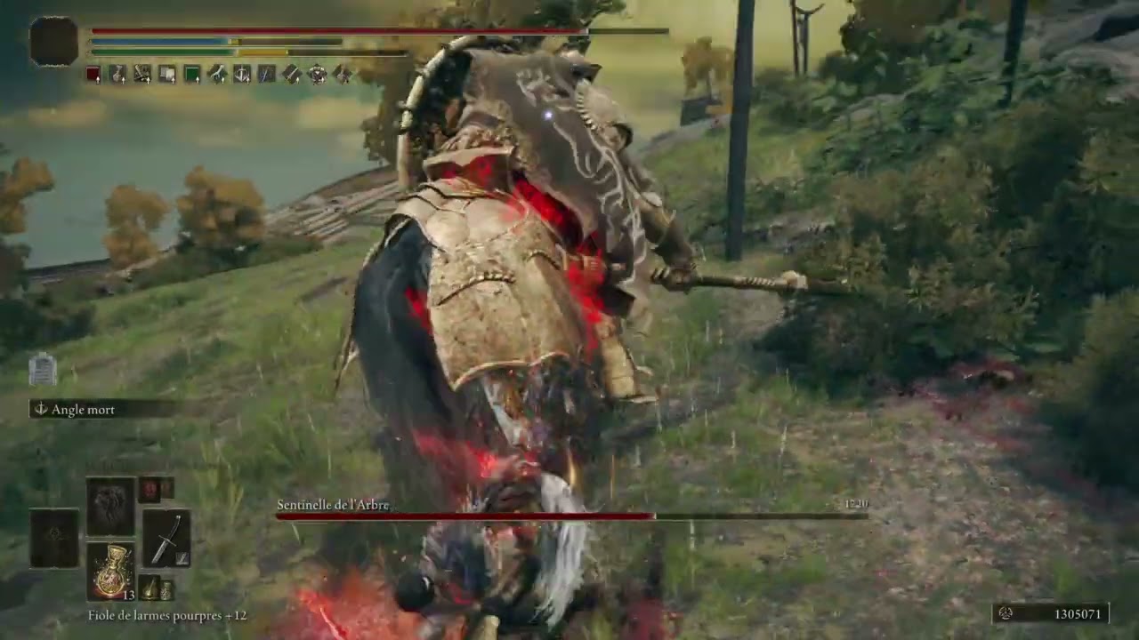 Tutorial revenge