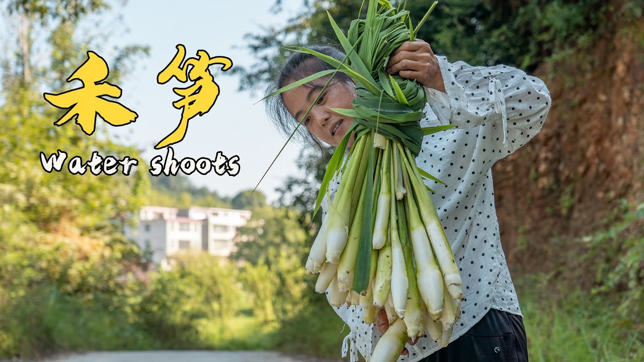 Два классических метода приготовления «водяных побегов» [XiangYe Lianjie]