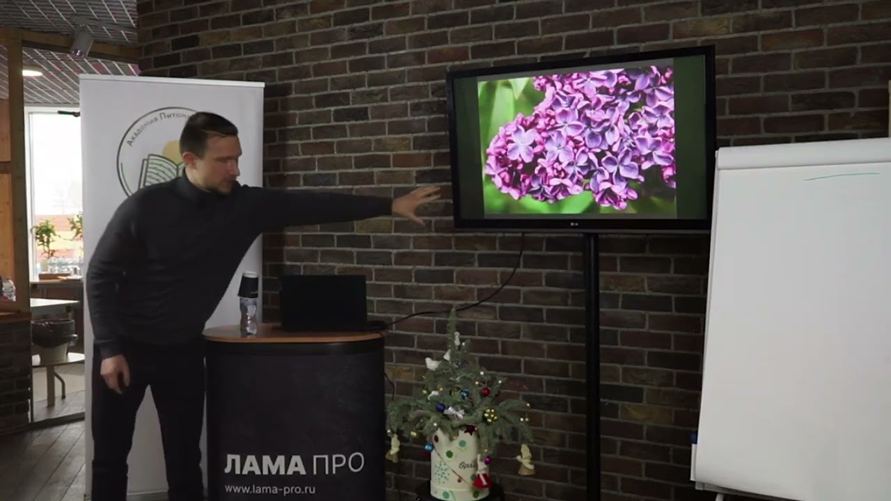 1ч . 