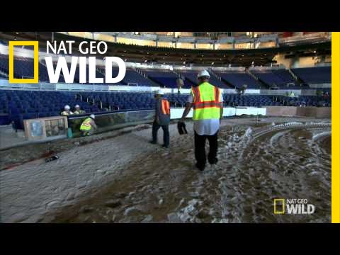 Fastball Test | Fish Tank Kings