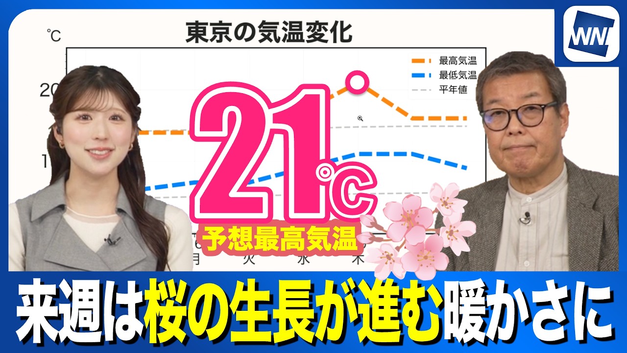 【週間天気】東京で21℃予想　桜の生長が進む陽気に