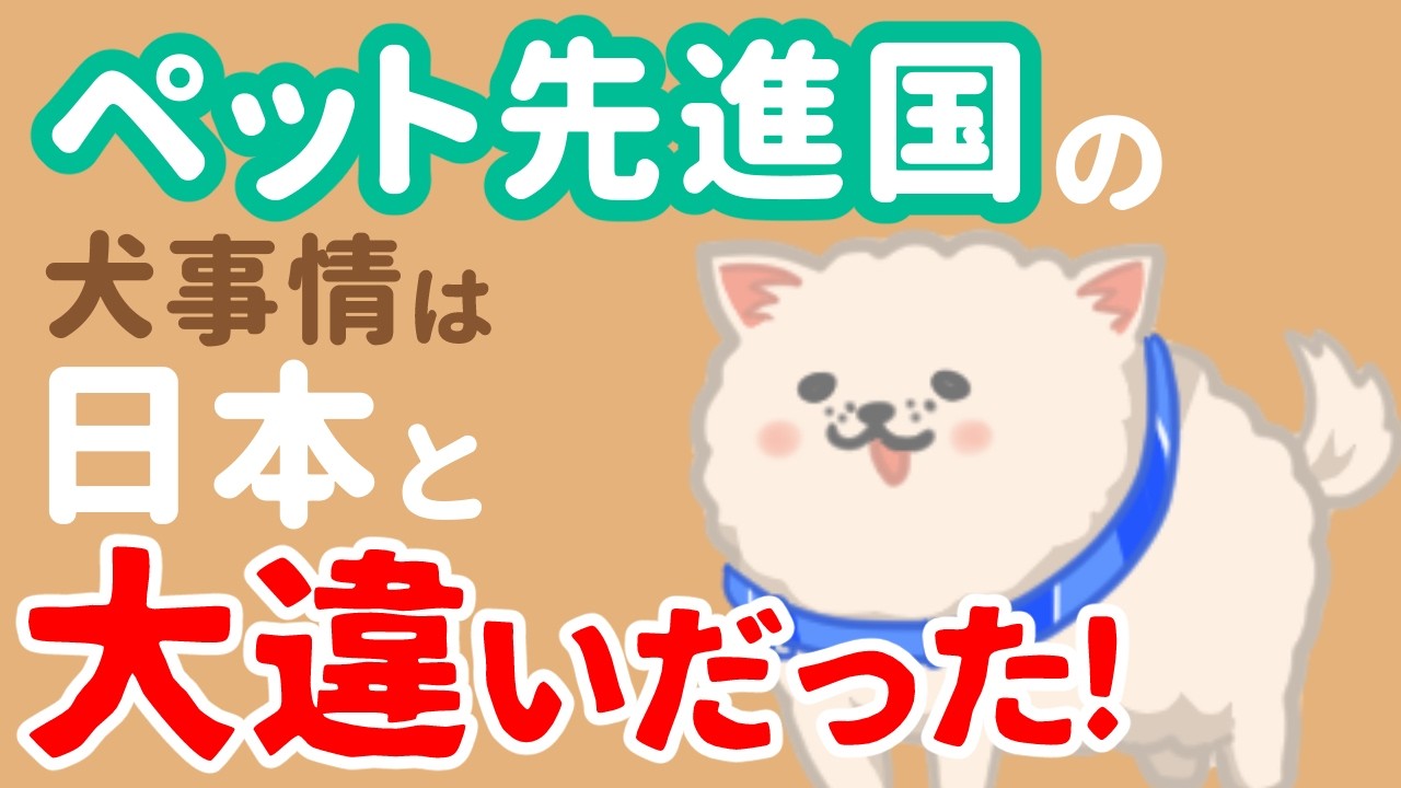 世界の犬事情！ペット先進国は日本とちがって犬に優しい社会だった！