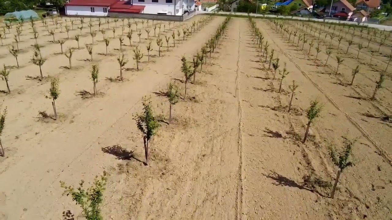 ČELIĆ 2024