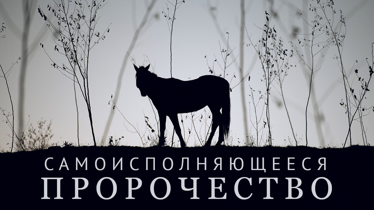 Эффект Пигмалиона (Розенталя) в образовании