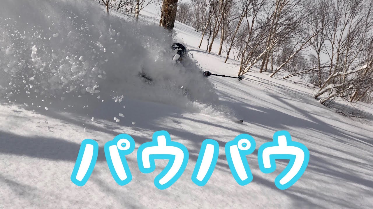 パウダー天国 白井岳  バックカントリー Mt.Shirai  powder skiing Hokkaido Japan snow