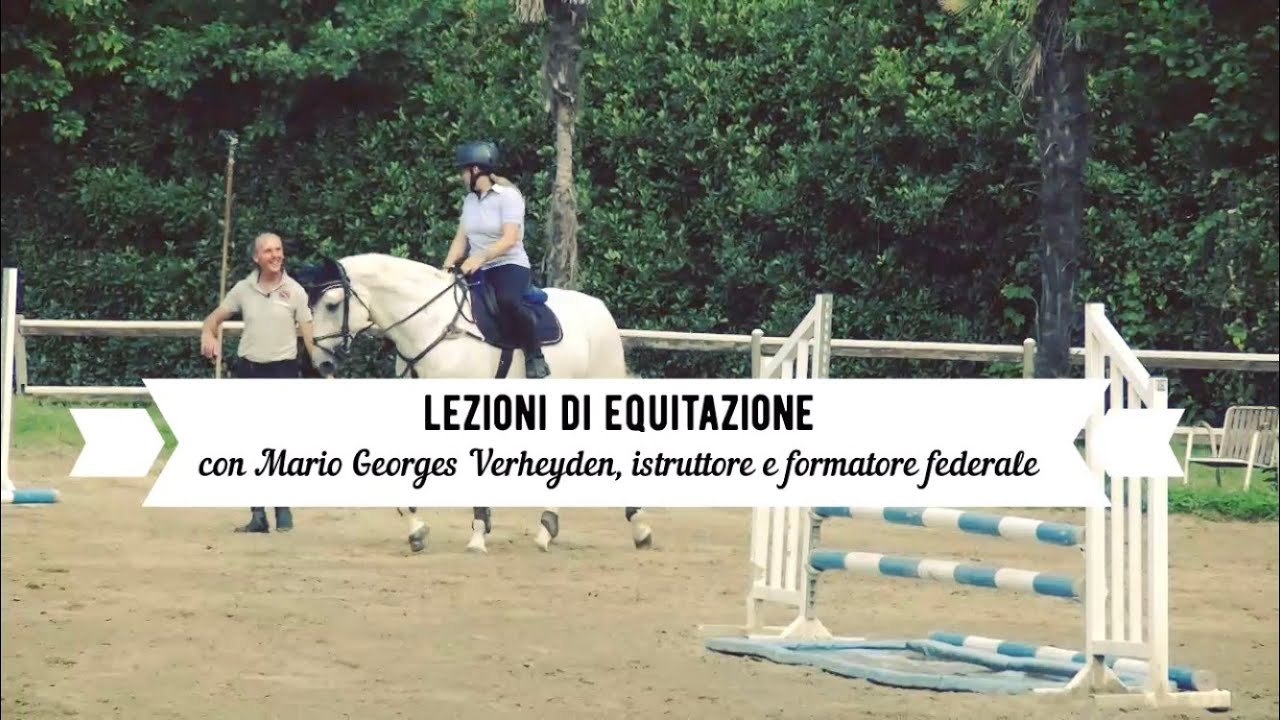 Equitazione online: esaltare i punti di forza del proprio cavallo
