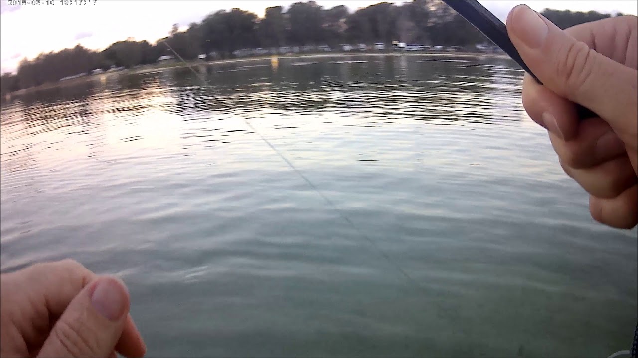 Lake Macquarie Tailor surface strike on Nomad Dartwing