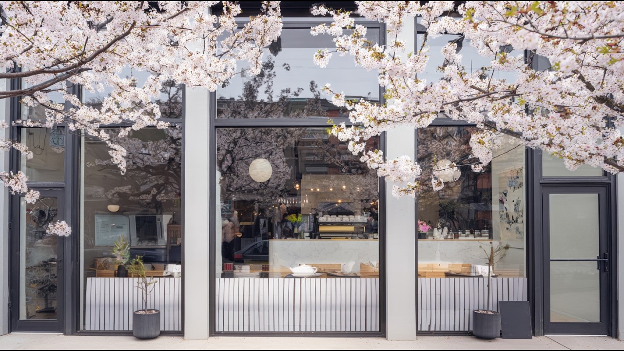 [Live] 𝐩𝐥𝐚𝐲𝐥𝐢𝐬𝐭 봄날 따뜻하고 편안한 피아노 음악 플레이리스트 | Focus • Study • Relax