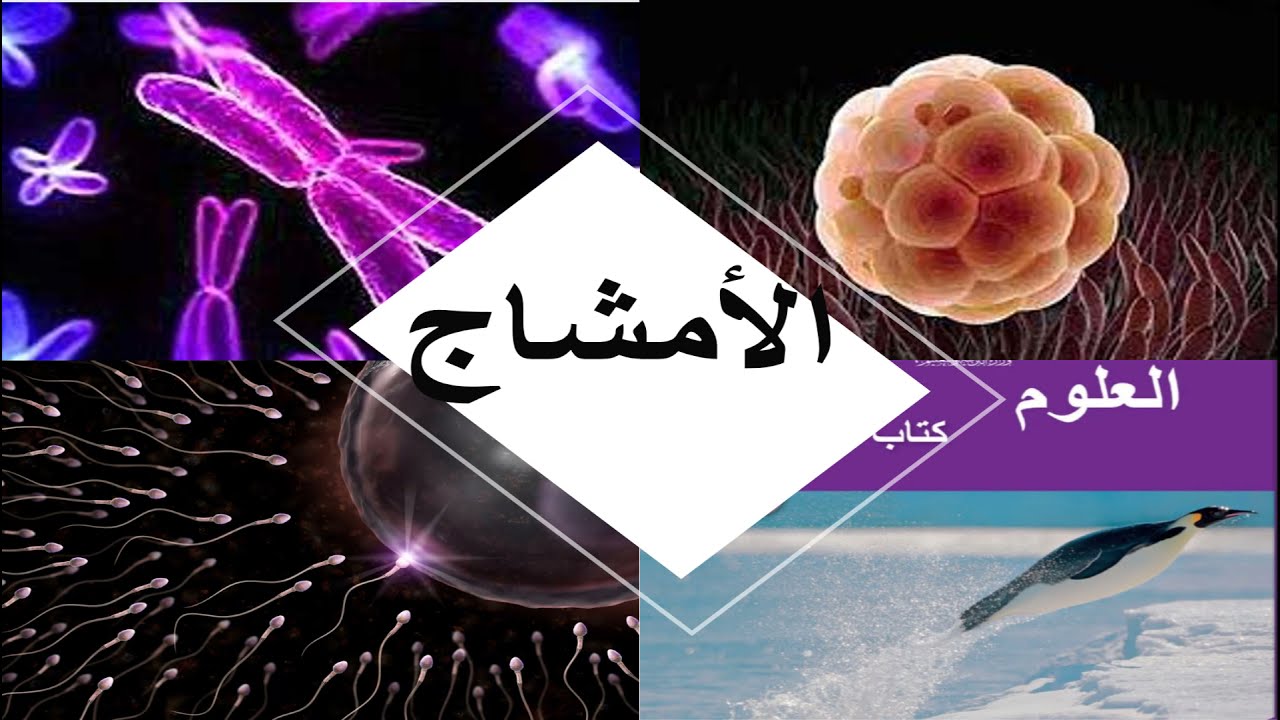 الأمشاج منهج كامبريدج
