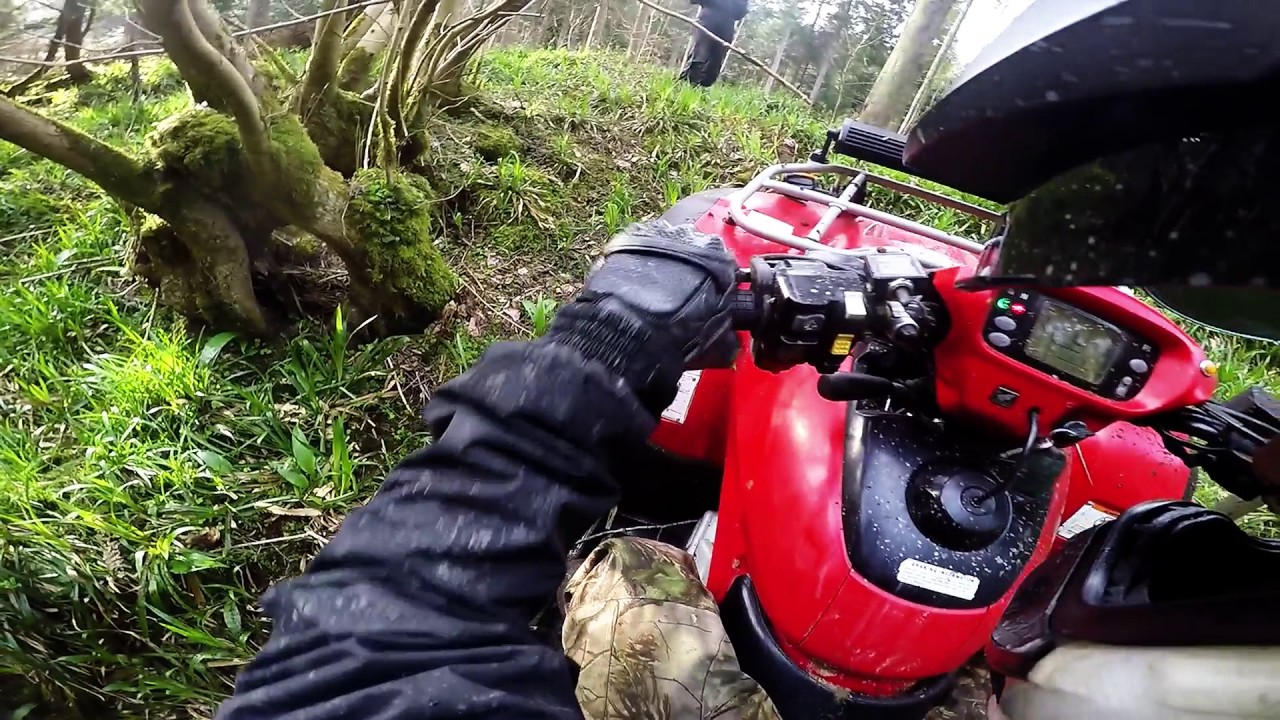 Honda Rincon 680 & 650 Off Road