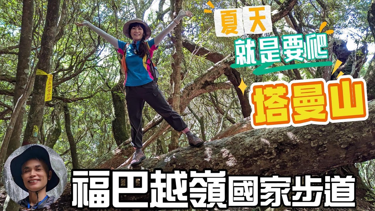 塔曼山，讓美女摔倒，夏天就是要爬塔曼山，拉拉山巨木步道，福山越嶺古道，國家級的步道，新北第一高峰，魔幻森林，台版阿凡達。