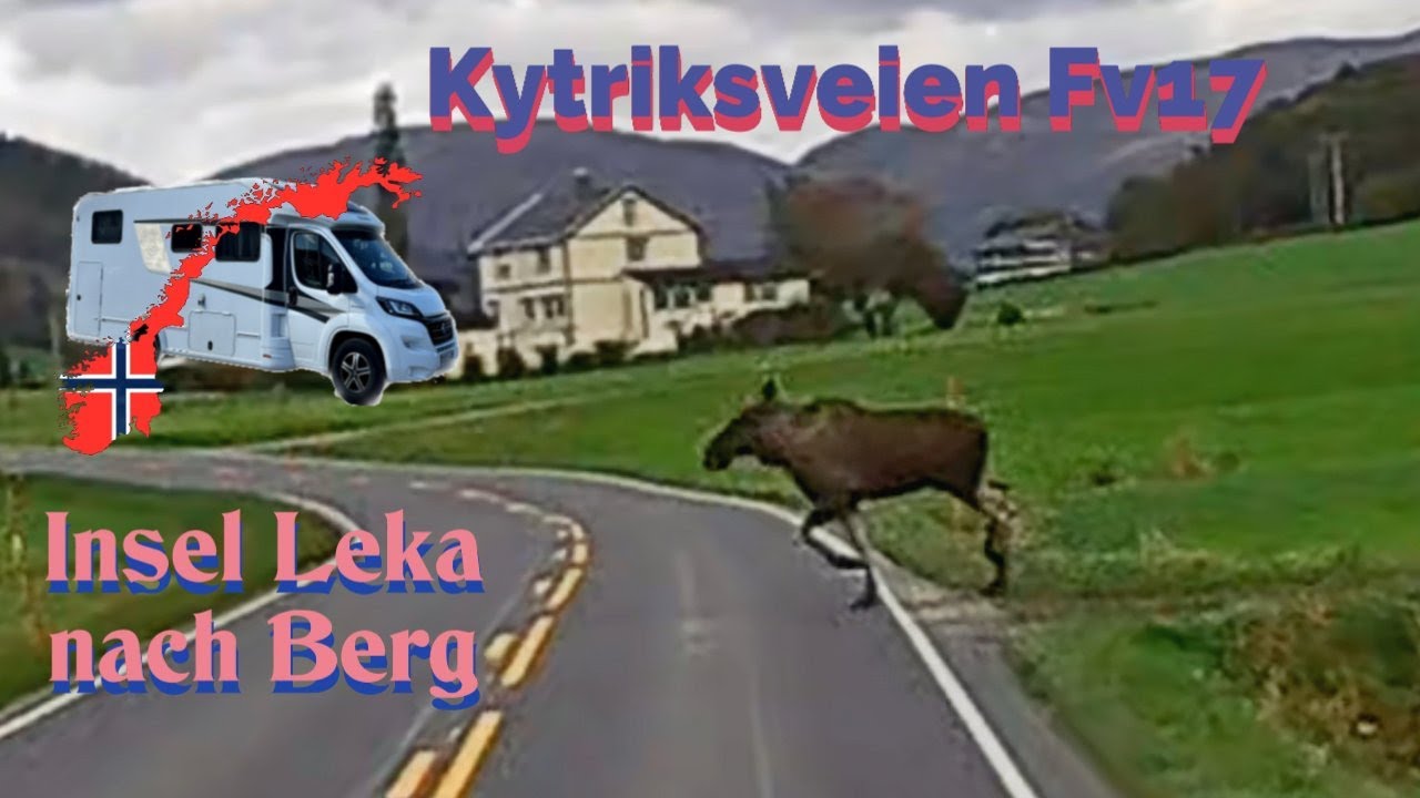 Elch auf der Küstenstraße! 🦌 Kystenveien v17 von Leka bis Trælnes | Norwegen Roadtrip 🇳🇴