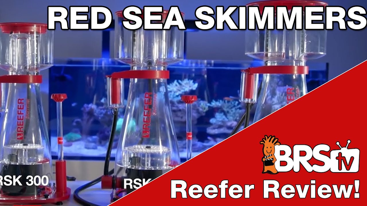 Белковые скиммеры Red Sea Reefer | Обзоры оборудования для морских аквариумов BRStv