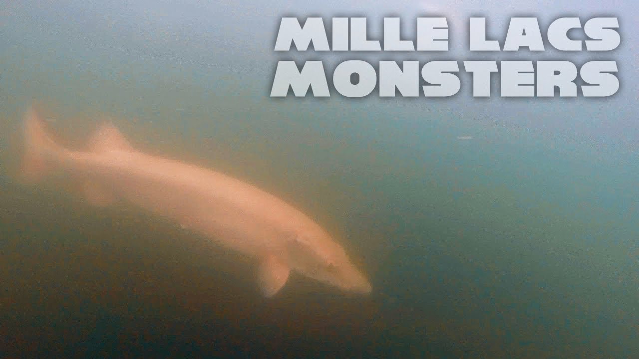 Маски ловят рыбу на МОНСТРОВ Mille Lacs!! - БЕЗУМНЫЕ подводные кадры