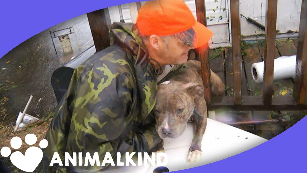 Pastor determined to save pets from flood