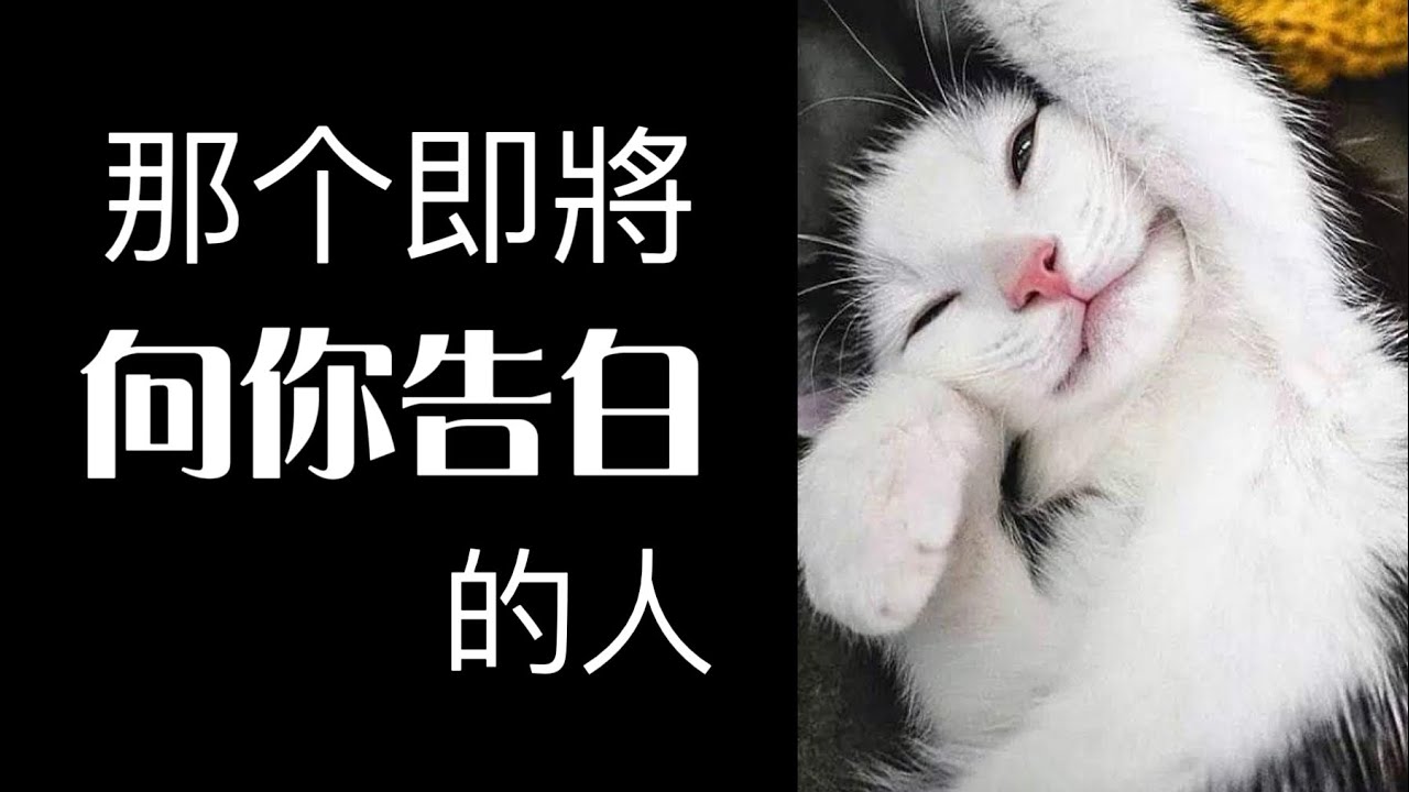 EclipseTarot ▪️▫️你的下一位追求者！他是誰？你的哪些特點讓他深深著迷？他的性格特徵+外貌特徵+星座+職業 誰在偷偷暗戀你？誰是你的下一任 塔羅占卜