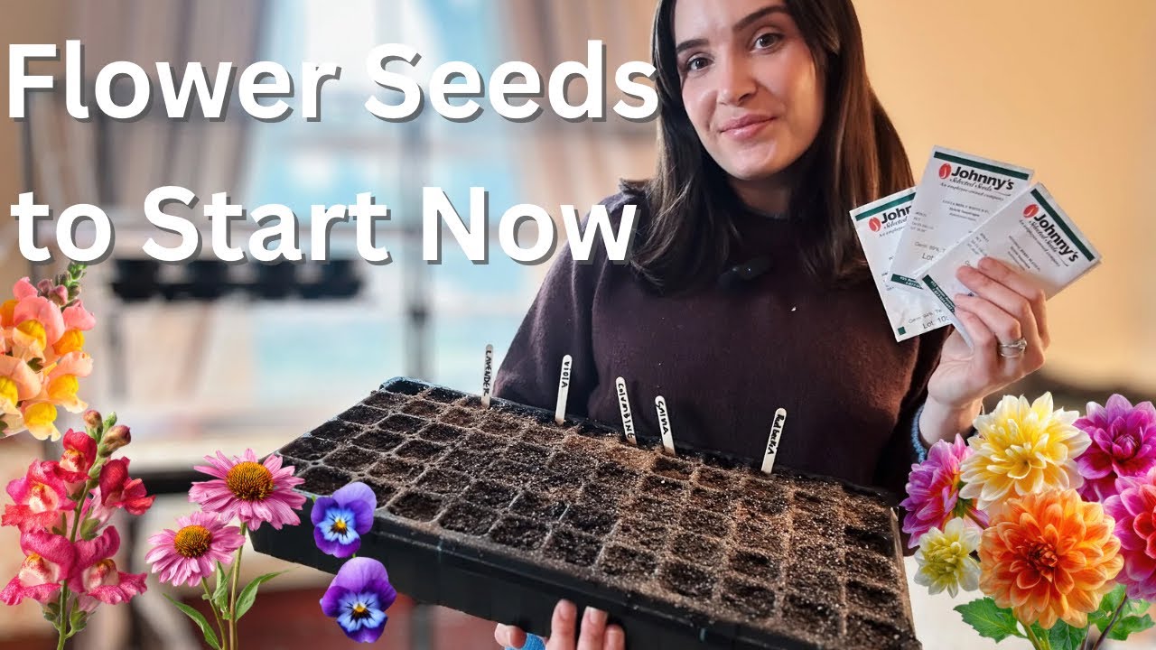 Start These Flower Seeds NOW (8–10 Weeks Before Last Frost!) 