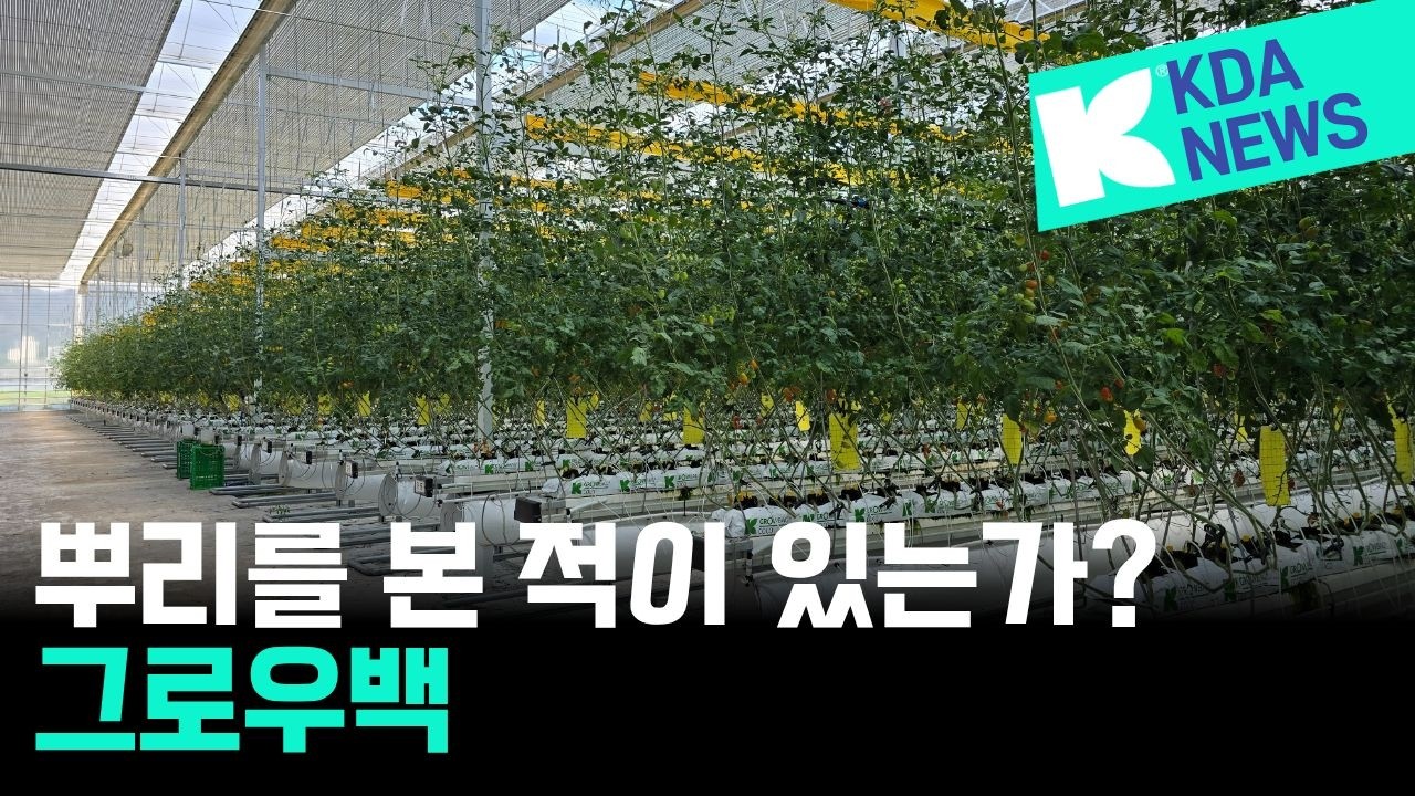 식물의 뿌리는 그로우백에서 어떻게 자라고 있을까? 클라스만 데일만이 열어 보았습니다. 뿌리의 형태 #클라스만데일만 #그로우백 #코코피트