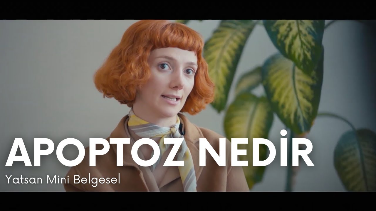 Apoptoz Nedir? | Yatsan Mini Belgesel Serisi | 20. Bölüm