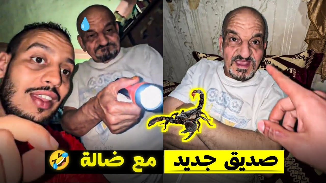 أجي تشوف الصديق جديد لي بغى يربيه ضالة 😂🦂