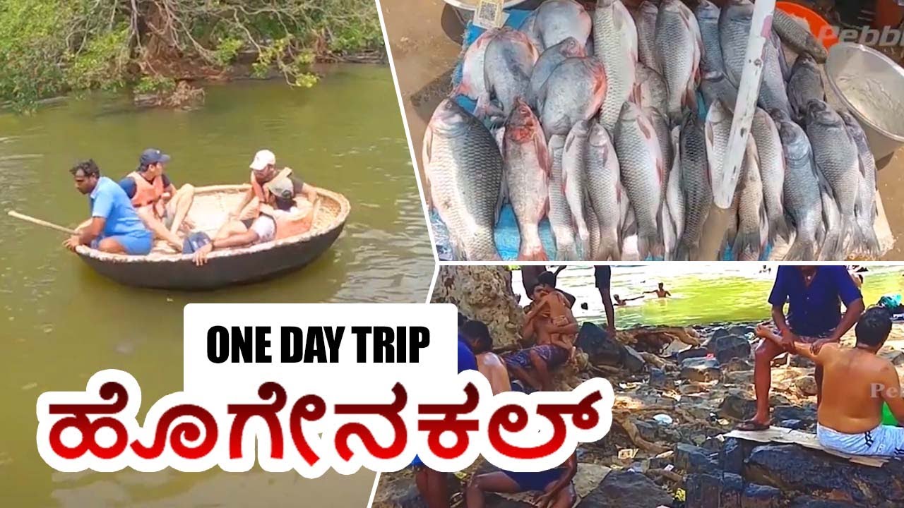 Hogenakkal Falls Boating, Oil Massage, Fish Fry | Best tourist place in Tamil Nadu | One day Trip