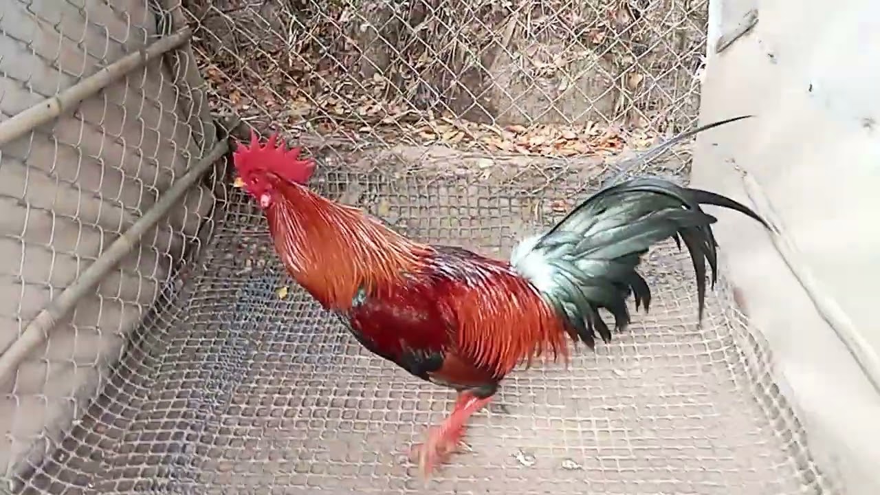 Ngày 24 tháng 1 @839999446