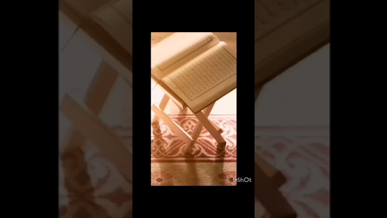 القارئة بثينة بوحزام | ولاية خنشلة قامة من قامات القراءة 💟💟