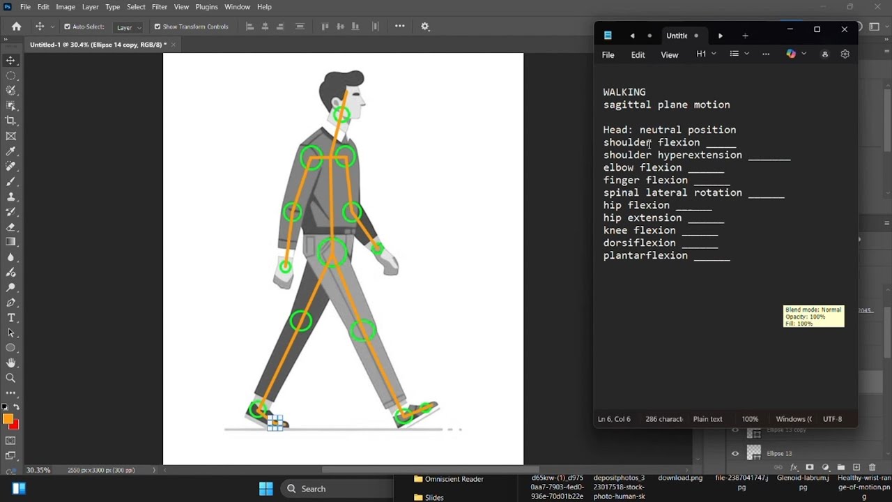 Analyzing Human Body in Motion | Identifying and Measuring Human Movement | Walking