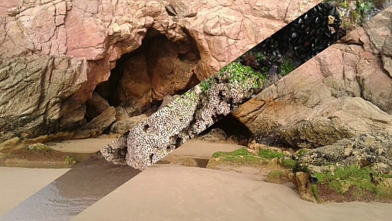 BEACH MIR LEFTE.PLAGE MIR LEFTE.بحر مير لفت