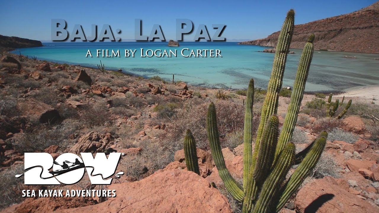 La Paz Sea Kayaking - Baja Sur