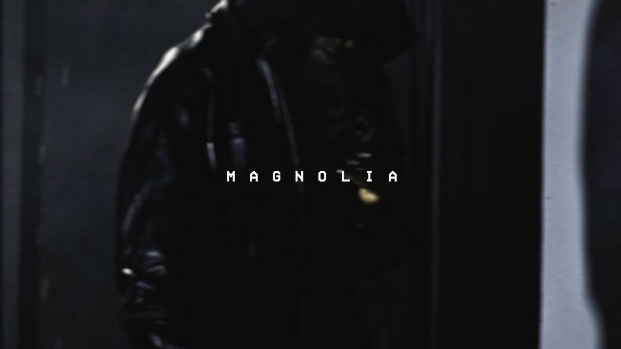 Playboi Carti - Magnolia (Remix)