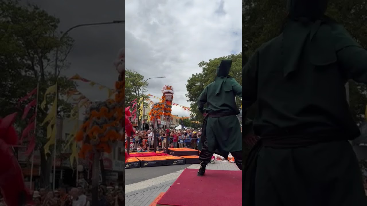 Atraksi barongsai menjelang perayaan cap go meh😍