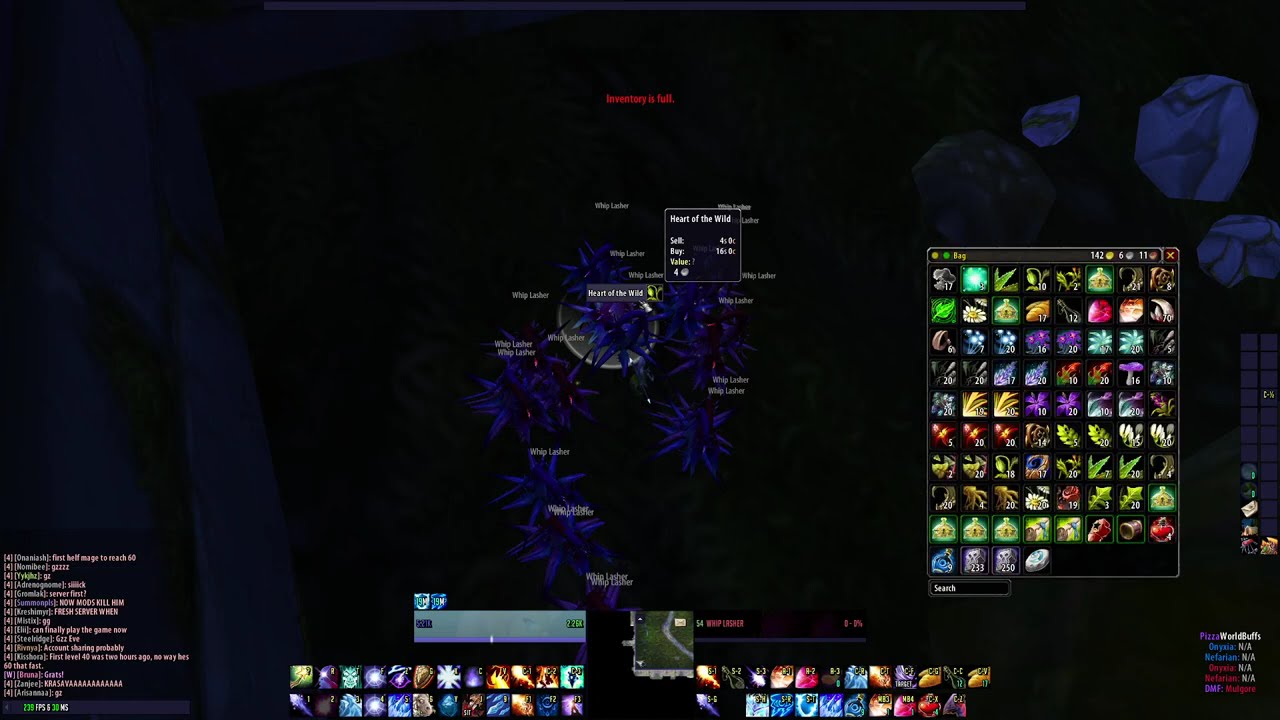 realm first ambershire lvl 60 wee woo
