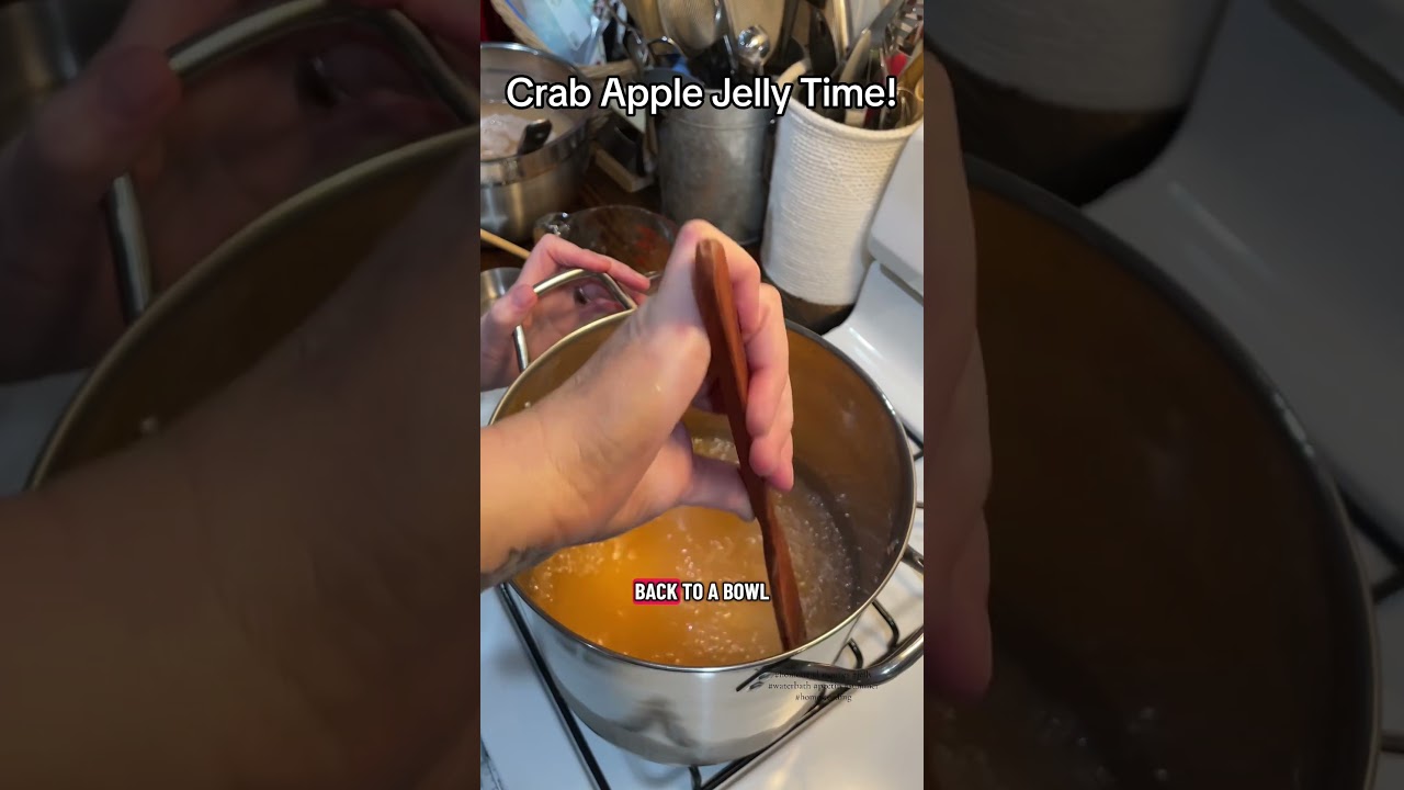 Crab apple jelly!  The taste of summer&rsquo;s edge! #HomesteadLife #FromScratchLiving #jelly #apples
