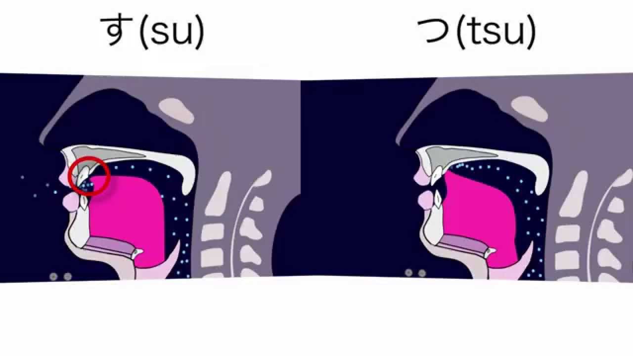 Exercise video: Tsu vs Su