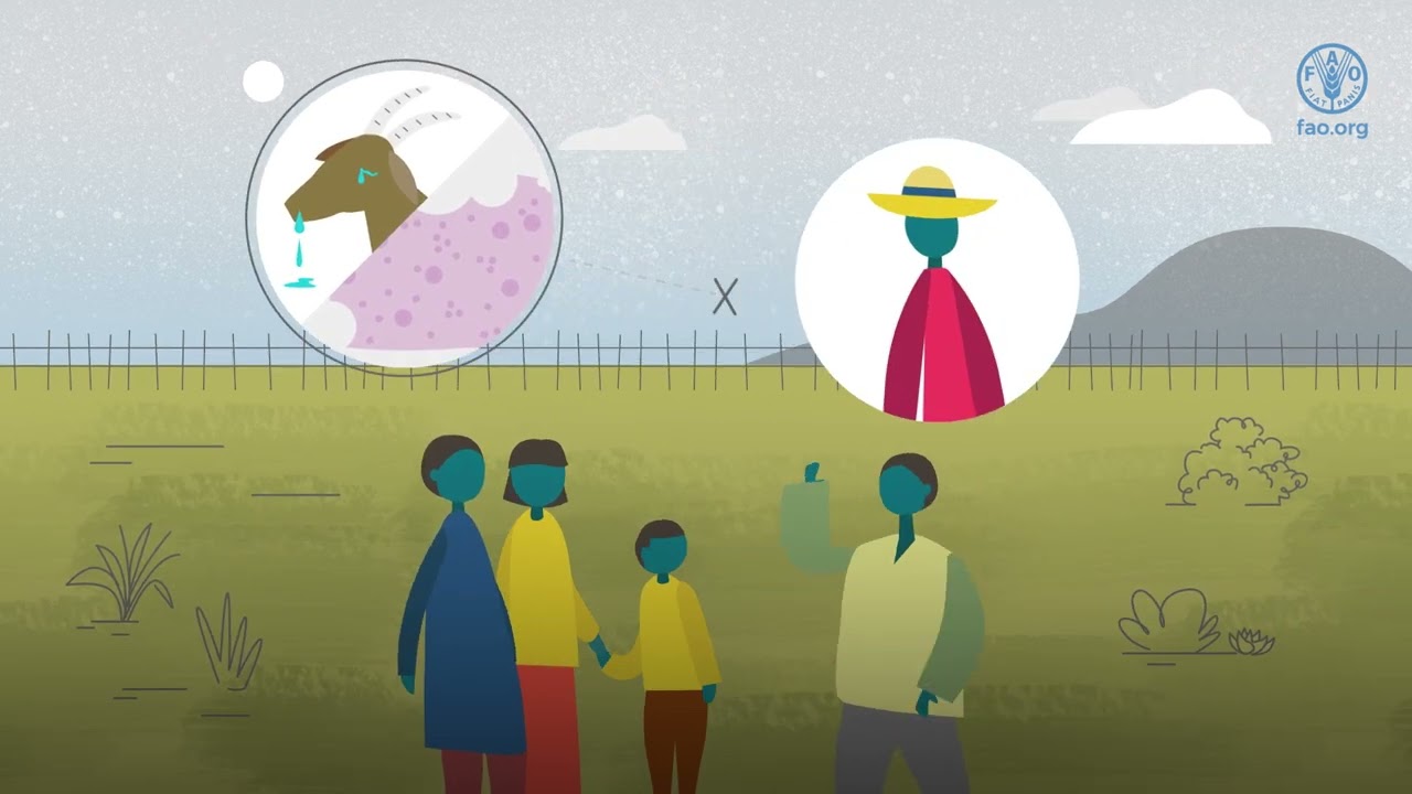 Que necesitas saber sobre la viruela ovina y la viruela caprina