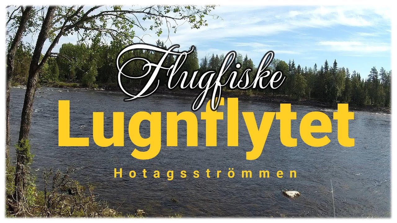 Flugfiske i Lugnflytet - Hotagsströmmen Hårkan
