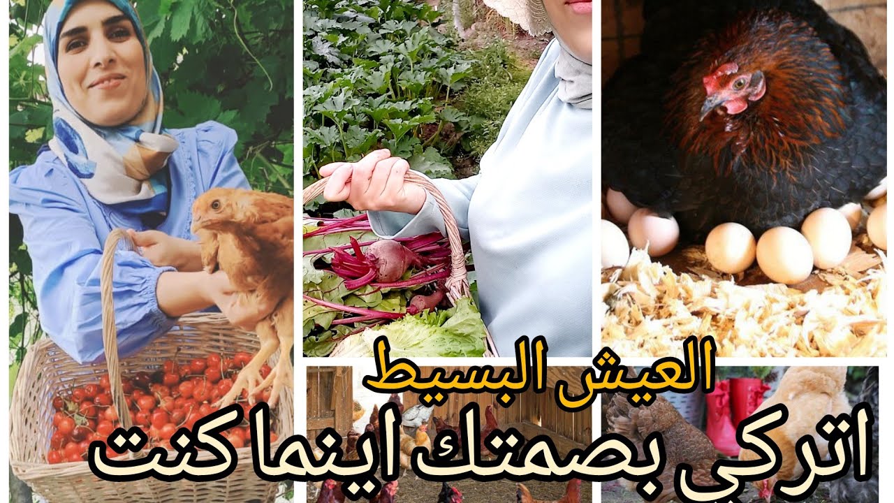 اسرار السعادة .عش اللحظة  جولة في مزرعتي الصغيرة لكن خيراتها  كتيرة