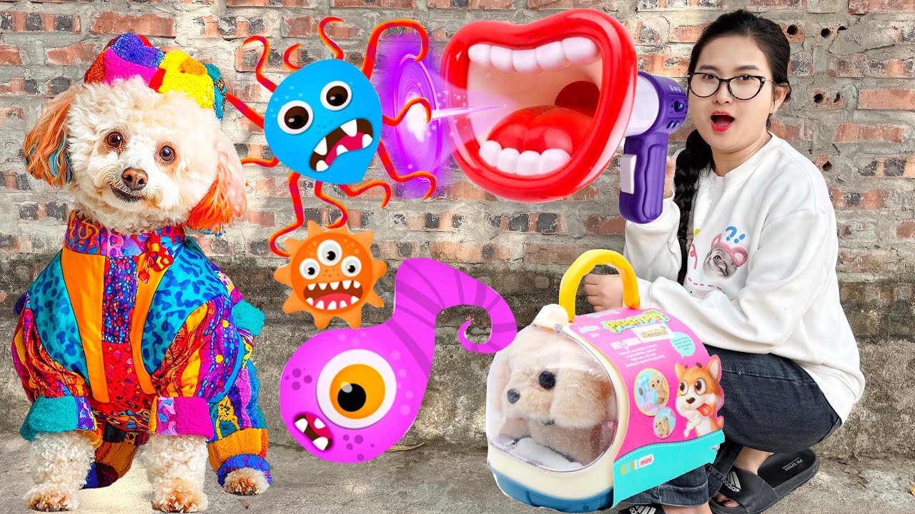 Changcady review bộ đồ chăm sóc thú cưng, giúp chó con sạch vi khuẩn nấm