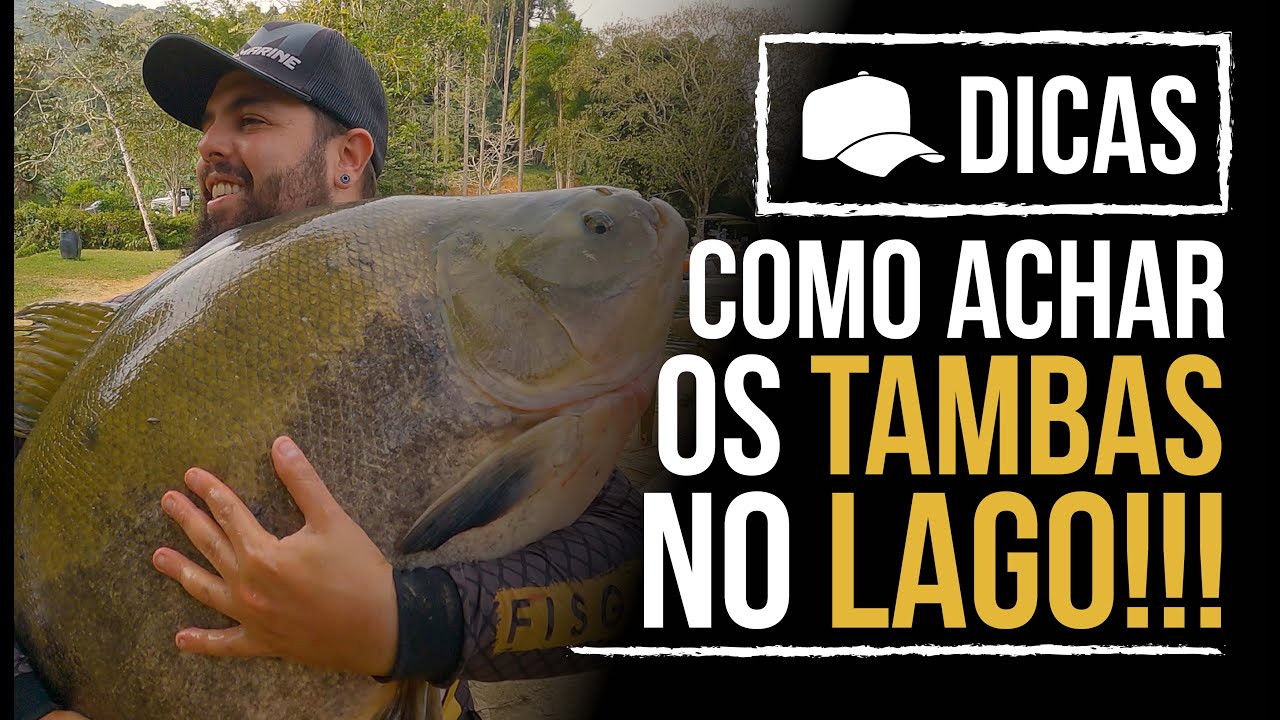 COMO ACHAR O TAMBA NO LAGO (DICA)