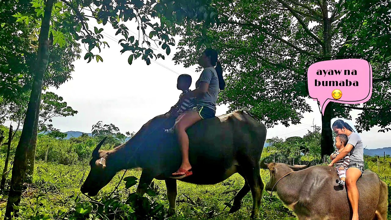 RIDING CARABAO WITH MY NEPHEW♥️