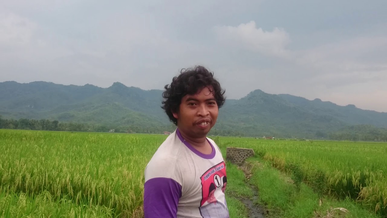 Jaln-jalan soree