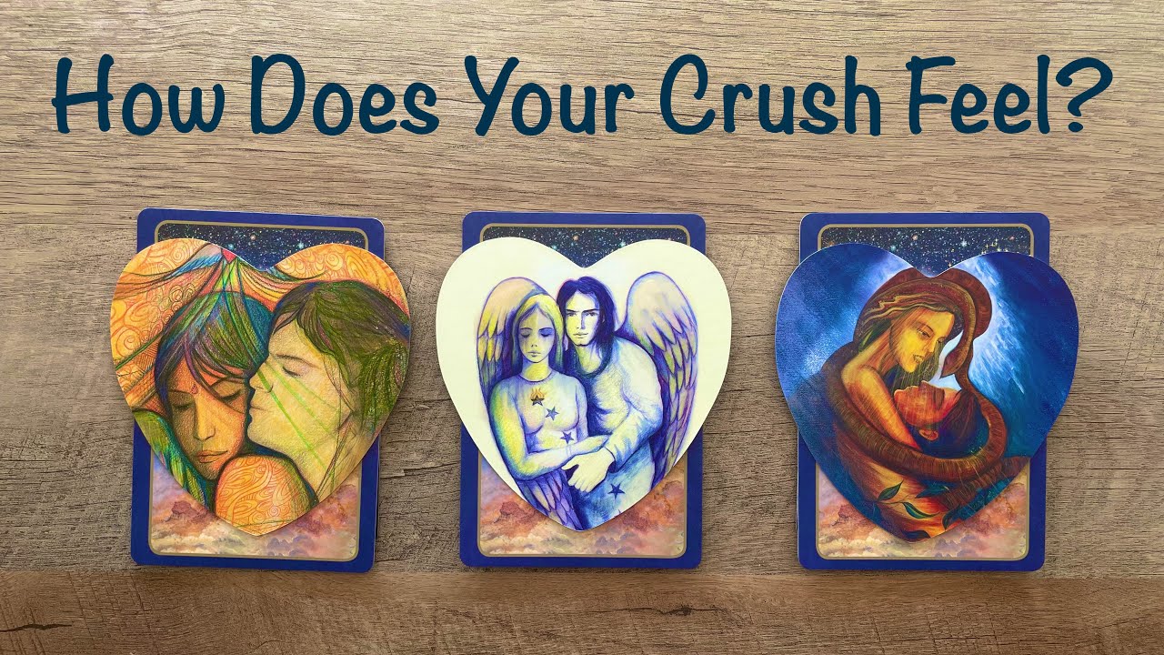 Pick A Card. How Does My Crush Feel About Me? Timeless Love Reading. 💘💘💘